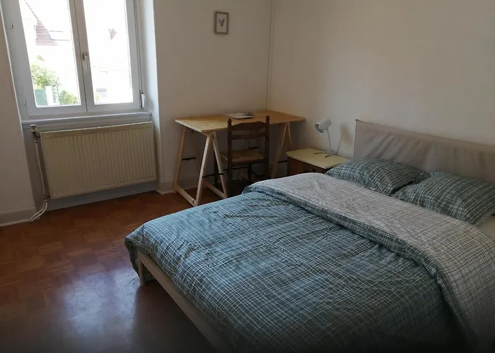 Rdc 2 Parfait Loisirs Et Travail, Court Et Long Sejour, Parking Gratuit Tram-train, Autoroute A Proximite * Mülhausen